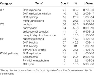 Molecular Mechanisms Underlying the Inhibition of Proliferation and Differentiation by Florfenicol in P19 Stem Cells: Transcriptome Analysis